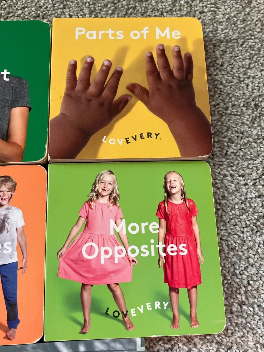Lovevery Early Learning Board Book Set - Multicolor